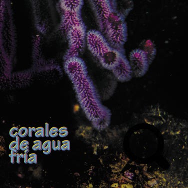 carátula “corales de agua fría” ensamble vocal Matta 2021, FONDART