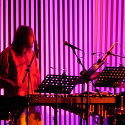 concierto xilos 2018 jorge young